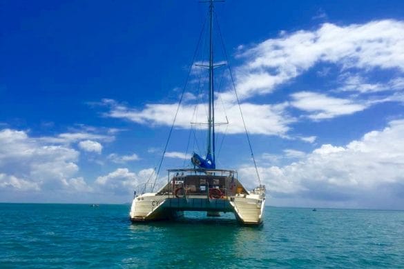 1 mois en Guyane française / volet 5