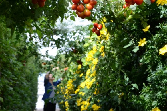 Une expérience unique