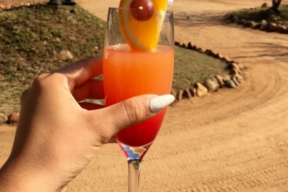 CARNET DE VOYAGE – La réserve privée Karongwe