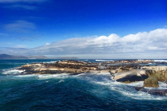 Carnet de voyage : Hout bay, Boulder’s Beach & Cape Point