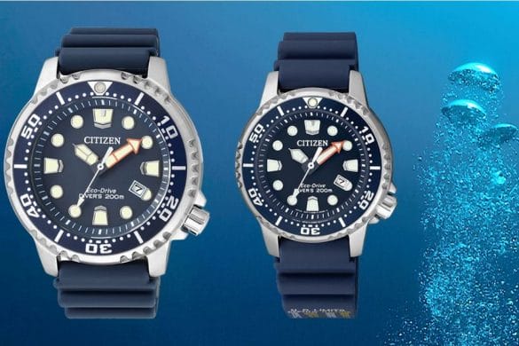 CITIZEN Promaster Marine Eco-Drive, la montre père et fils