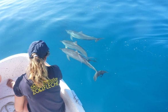 Il fait bon vivre au Zoo de La Flèche
