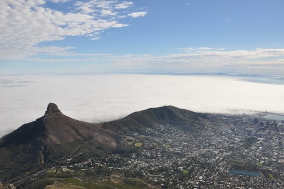 L’Afrique du Sud en famille avec African Trackers – Cape Town