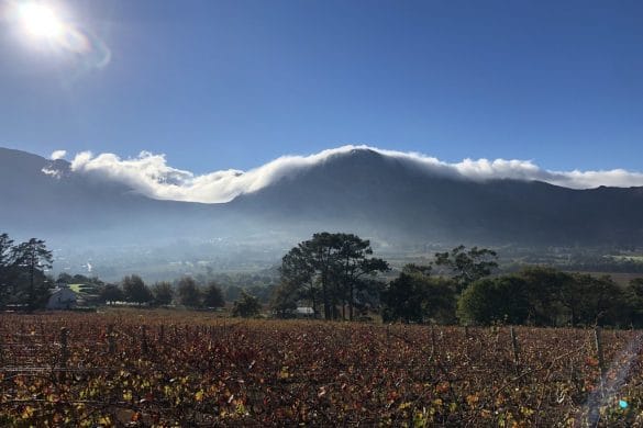 L’Afrique du Sud avec African Trackers – Franschhoek