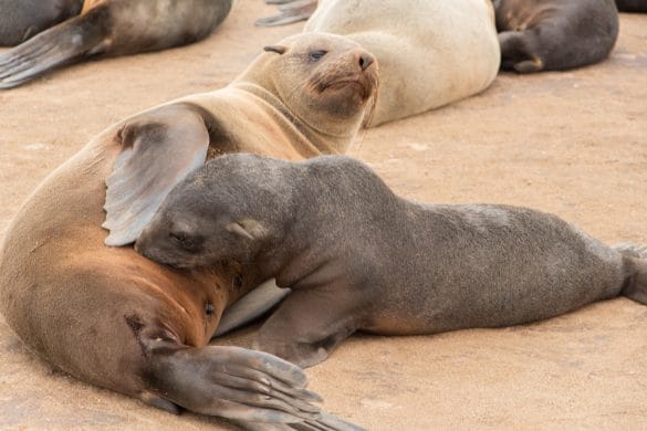 Swakopmund avec African Trackers – J3
