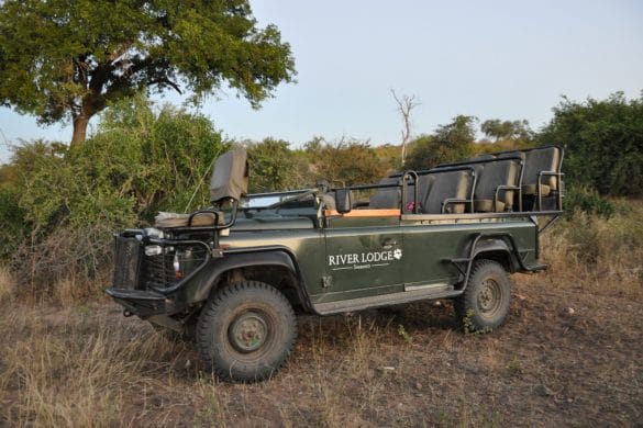 L’Afrique du Sud en famille avec African Trackers – Shanré et Percey