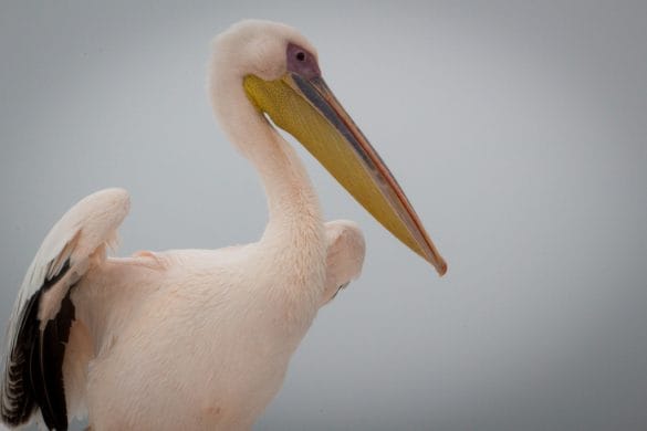 La Namibie avec African Trackers – J4