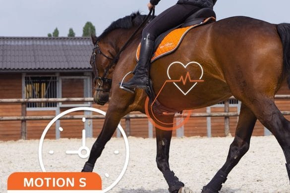 Equisense Motion S à offrir à tous les cavaliers pour Noël