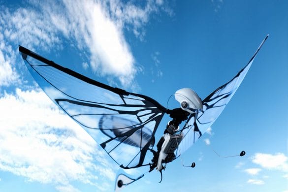 METAFLY, le 1er papillon volant biomimétique de BIONIC BIRD