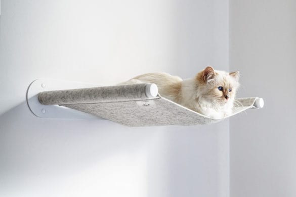 LucyBalu x Choupette