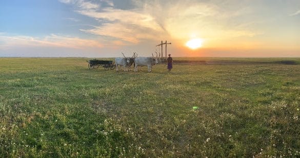 La Hongrie, destination verte pour le Printemps 2021