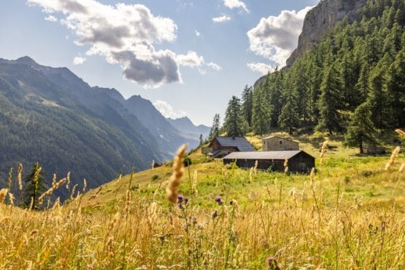 Et si vous prolongez les vacances aux Pays des Écrins !