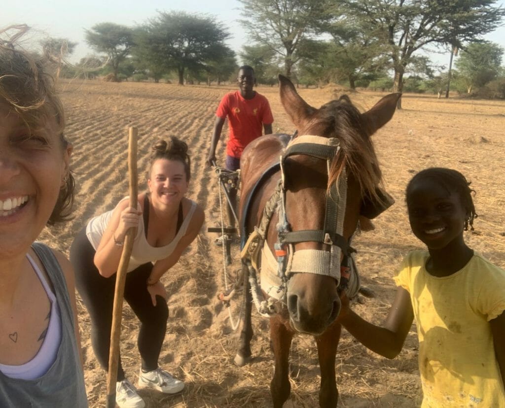 Travaux agricoles réalisés à Diofor