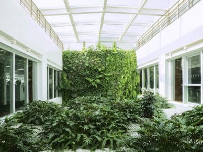 MINGZHU NERVAL, des murs végétaux et jardins d’exception