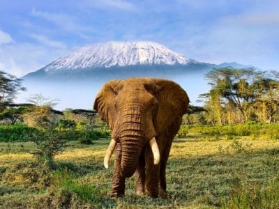 Tanzanothérapie : un récit de voyage intime et initiatique signé Chantal Henry