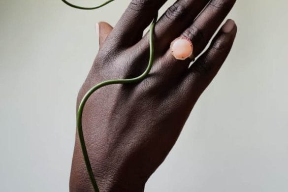 We by WHITEbIRD dévoile Simone & Rosa