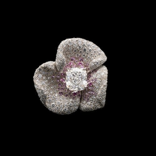 Dior dévoile le second chapitre de Diorexquis