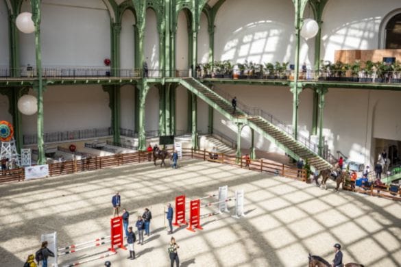 Saut Hermès 2026 : trois jours dédiés au cheval au Grand Palais