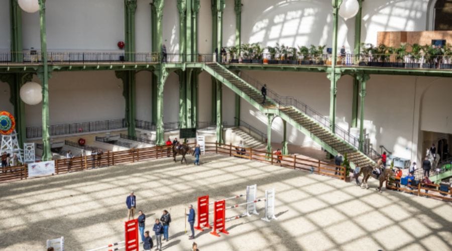 Saut Hermès 2026 : trois jours dédiés au cheval au Grand Palais